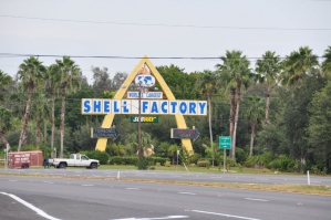 Fort Myers Shell Factory