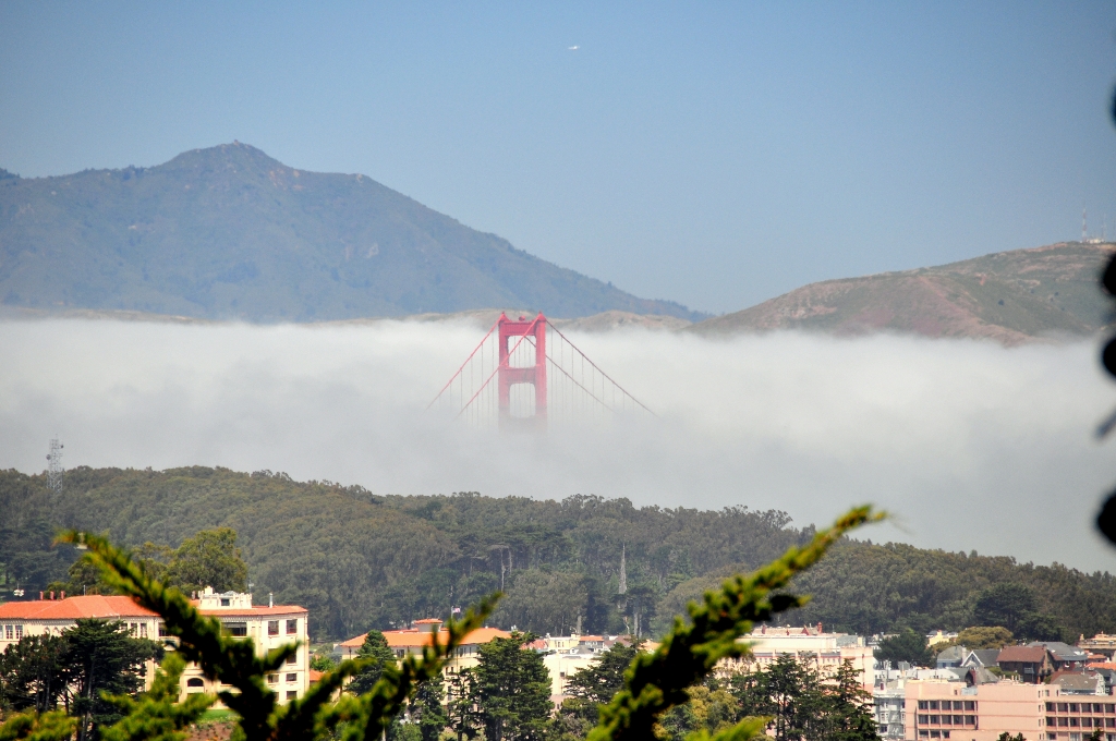 Dag 24: Golden Gate en Buenavista Park & Haight en Castro district